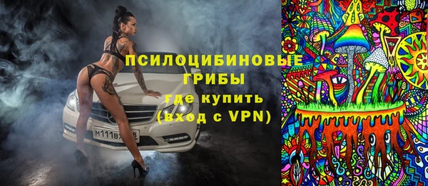 крисы Аркадак