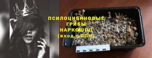 сатива Арсеньев