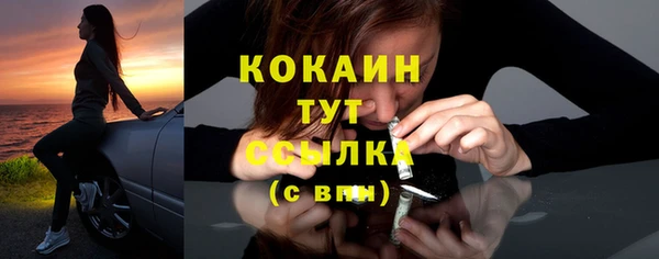 крисы Аркадак