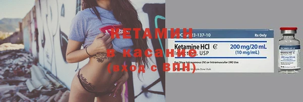 крисы Аркадак