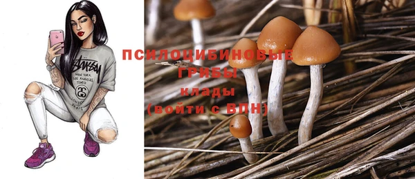 крисы Аркадак