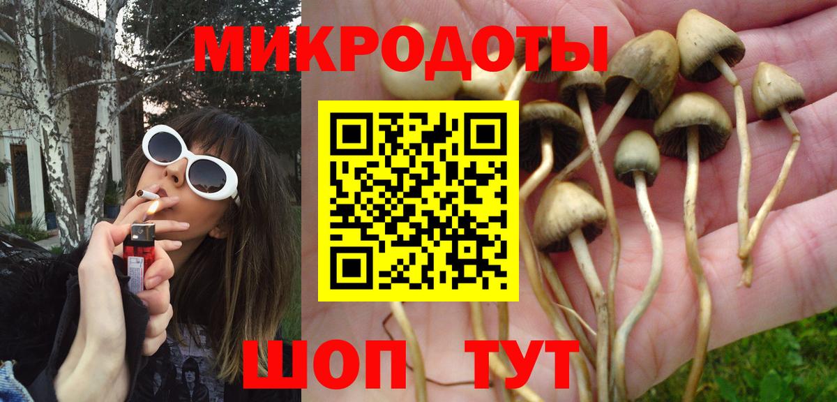 Галлюциногенные грибы MAGIC MUSHROOMS  Галлюциногенные грибы Psilocybe  Вход с VPN  Дзержинск 
