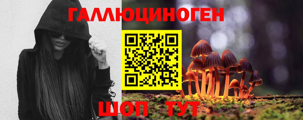 Галлюциногенные грибы прущие грибы Дзержинск